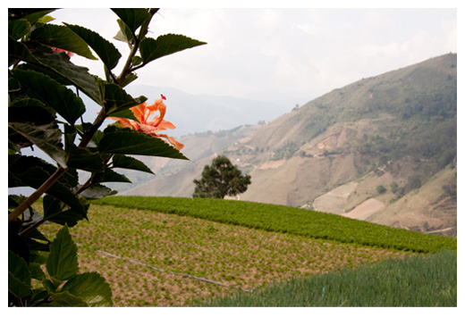 Productividad con Agricultores